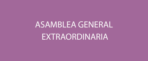 Asamblea-General-Extraordinaria-2024