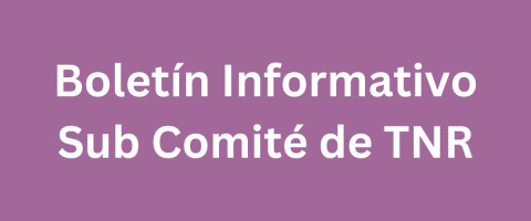 Boletin-TNR