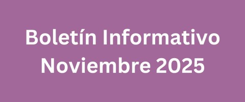 Boletin-Informativo-Nov-2025