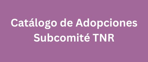 Catalogo-de-Adopciones----Subcomite-TNR